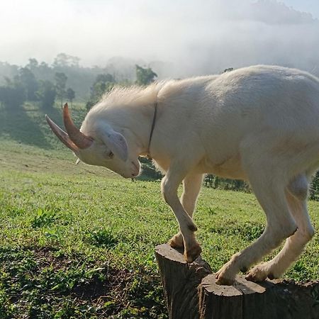 ไร่นิธิสุนทร Nithisoonthon Farmstay Мэхонгсон Экстерьер фото