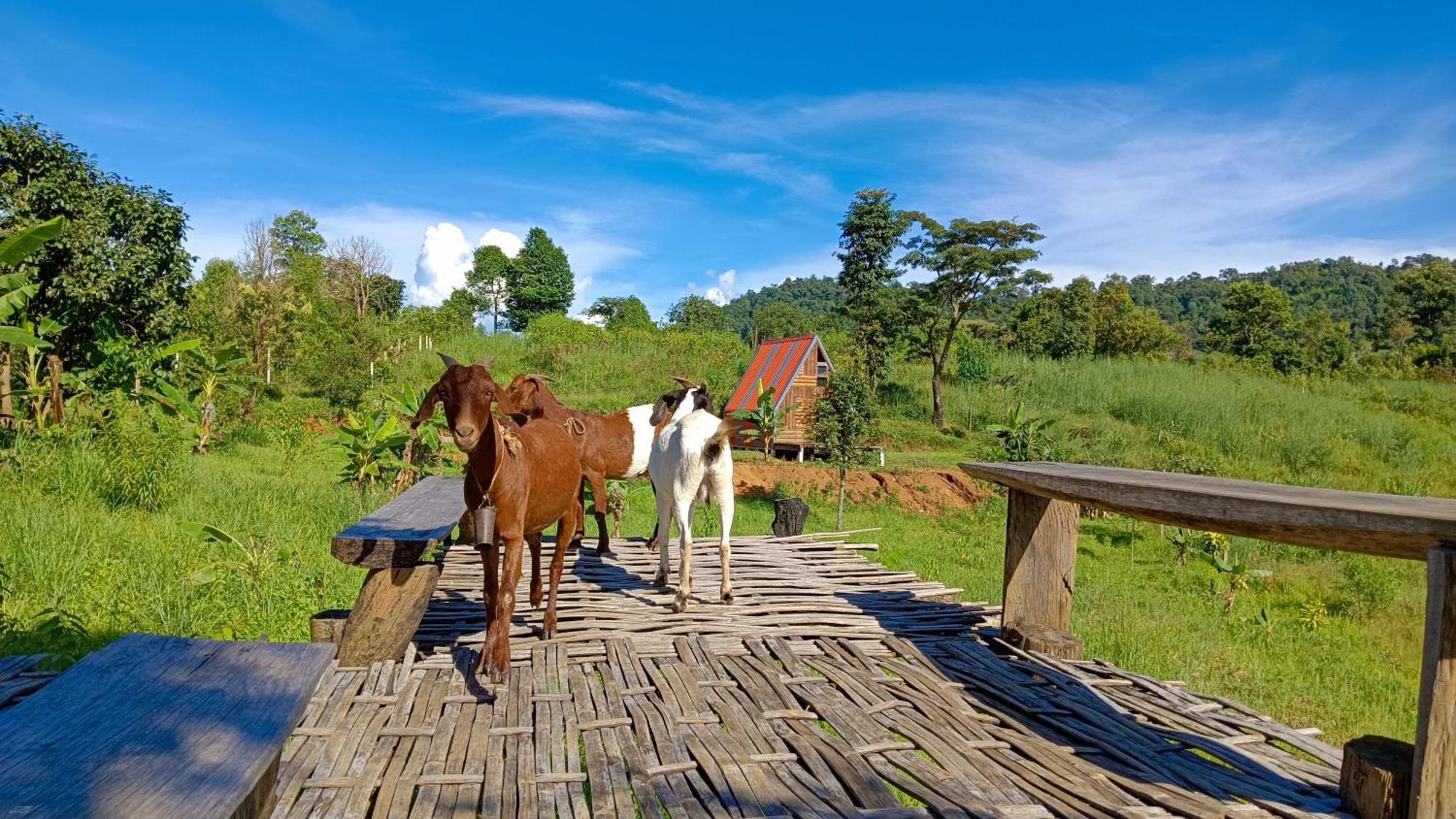 ไร่นิธิสุนทร Nithisoonthon Farmstay Мэхонгсон Экстерьер фото