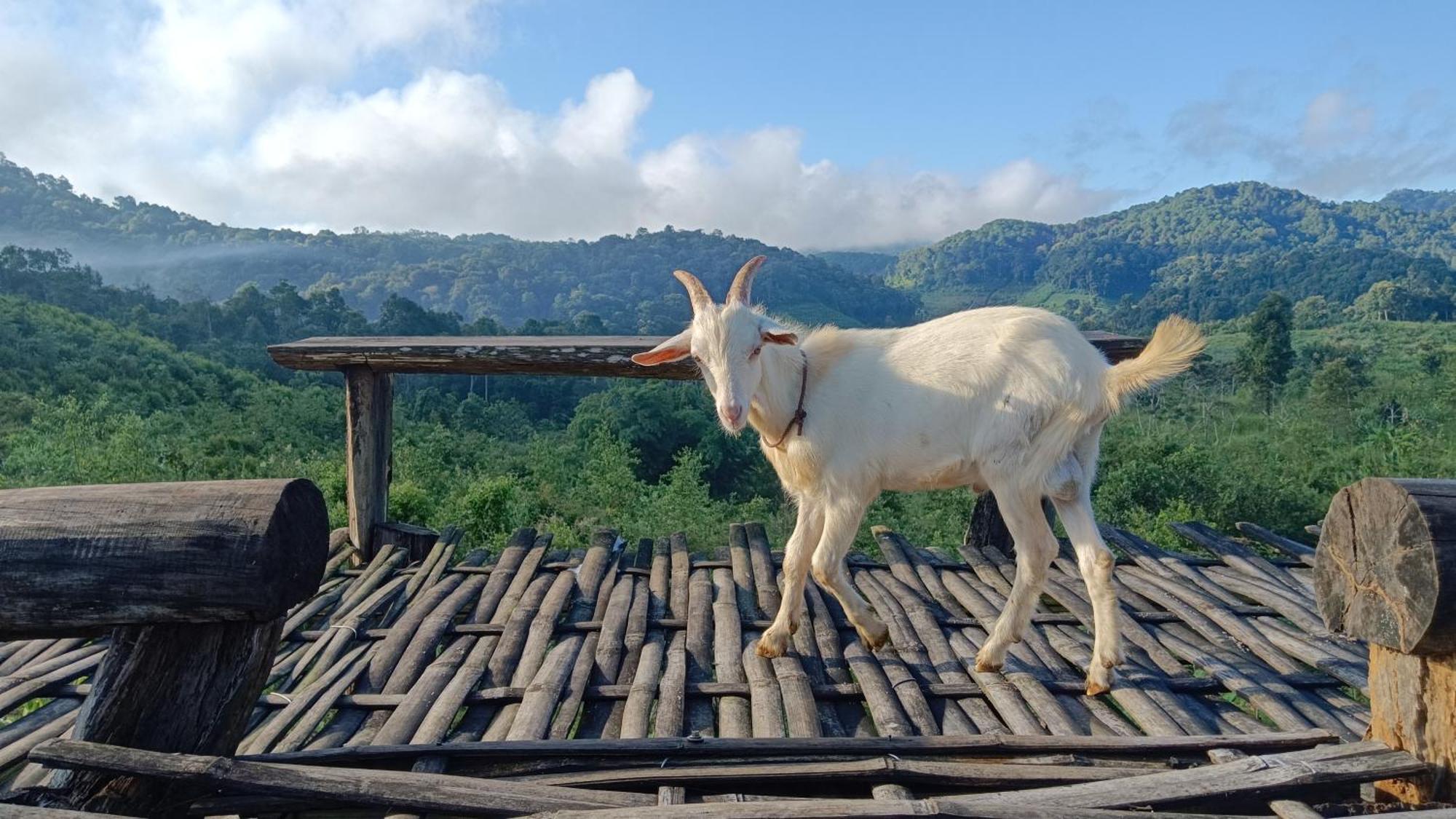 ไร่นิธิสุนทร Nithisoonthon Farmstay Мэхонгсон Экстерьер фото