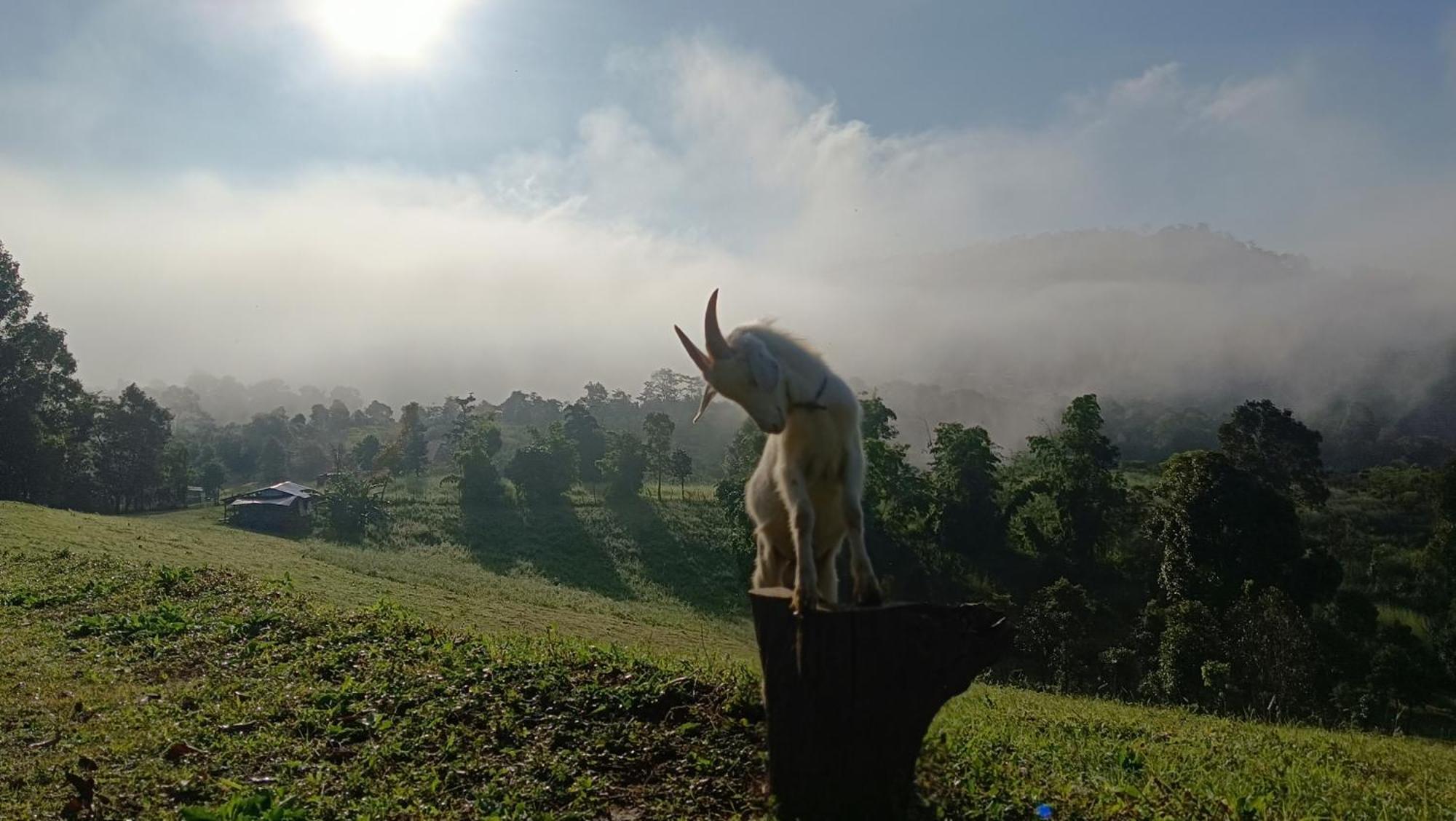 ไร่นิธิสุนทร Nithisoonthon Farmstay Мэхонгсон Экстерьер фото