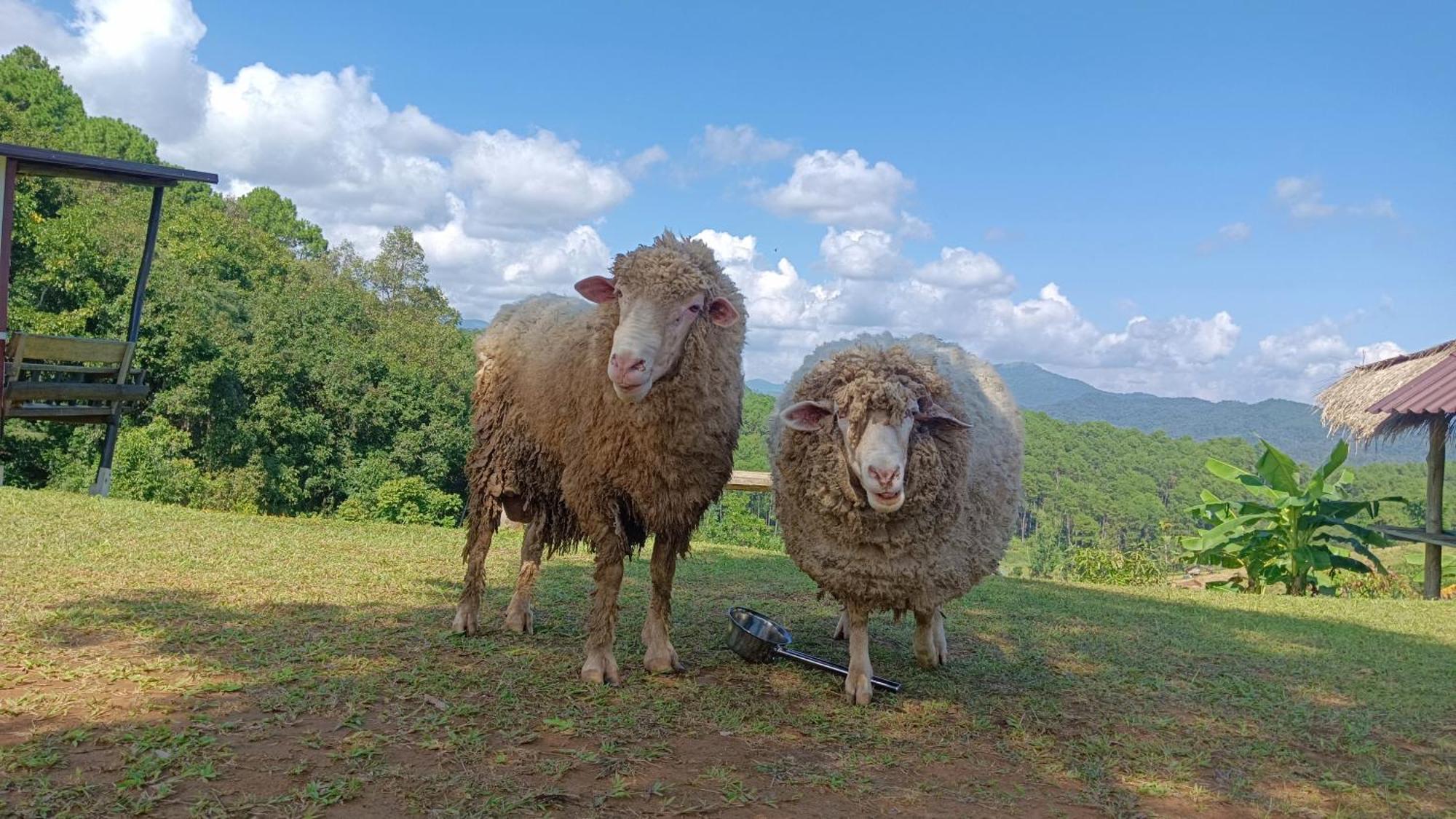 ไร่นิธิสุนทร Nithisoonthon Farmstay Мэхонгсон Экстерьер фото